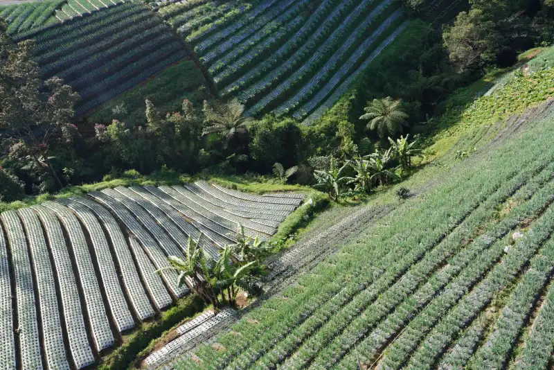 深圳盛世酒业2024年酒类批发产品线全解析及选品建议