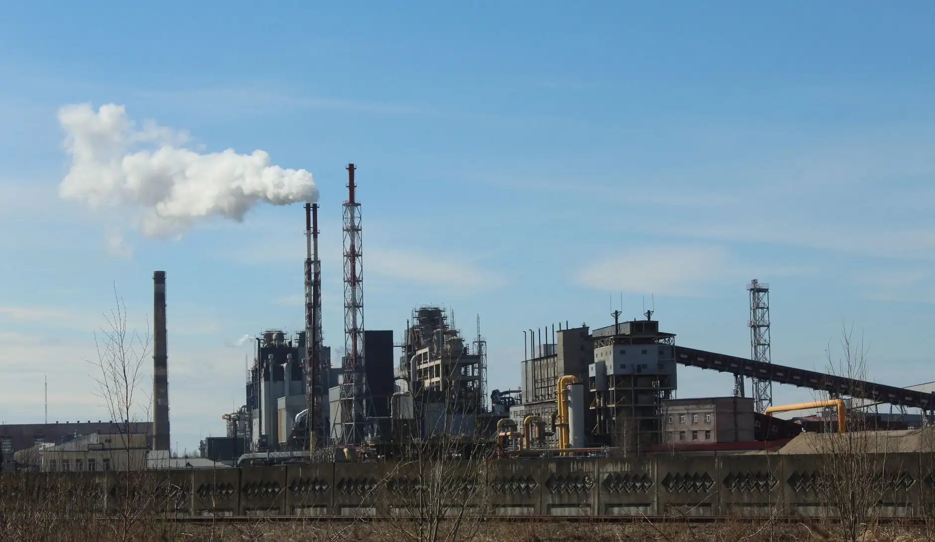 红酒与白酒采购对比：餐饮门店如何搭配酒水品类提升消费体验