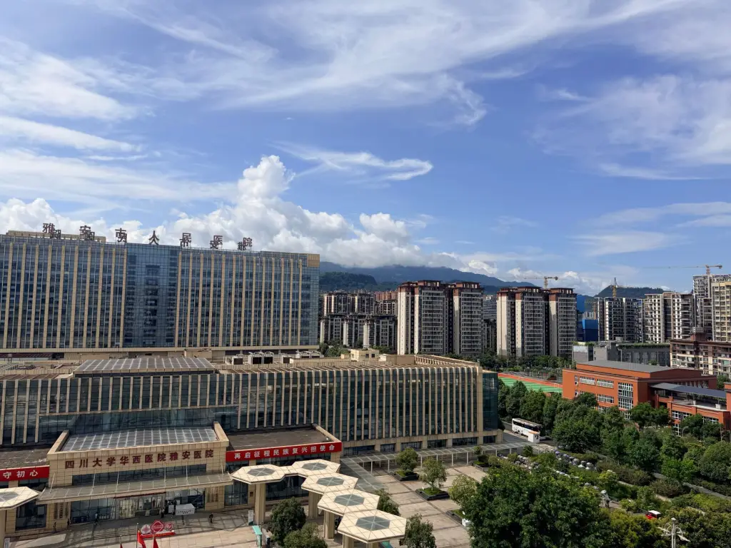 深圳酒业贸易企业如何构建红酒白酒正品供应链体系