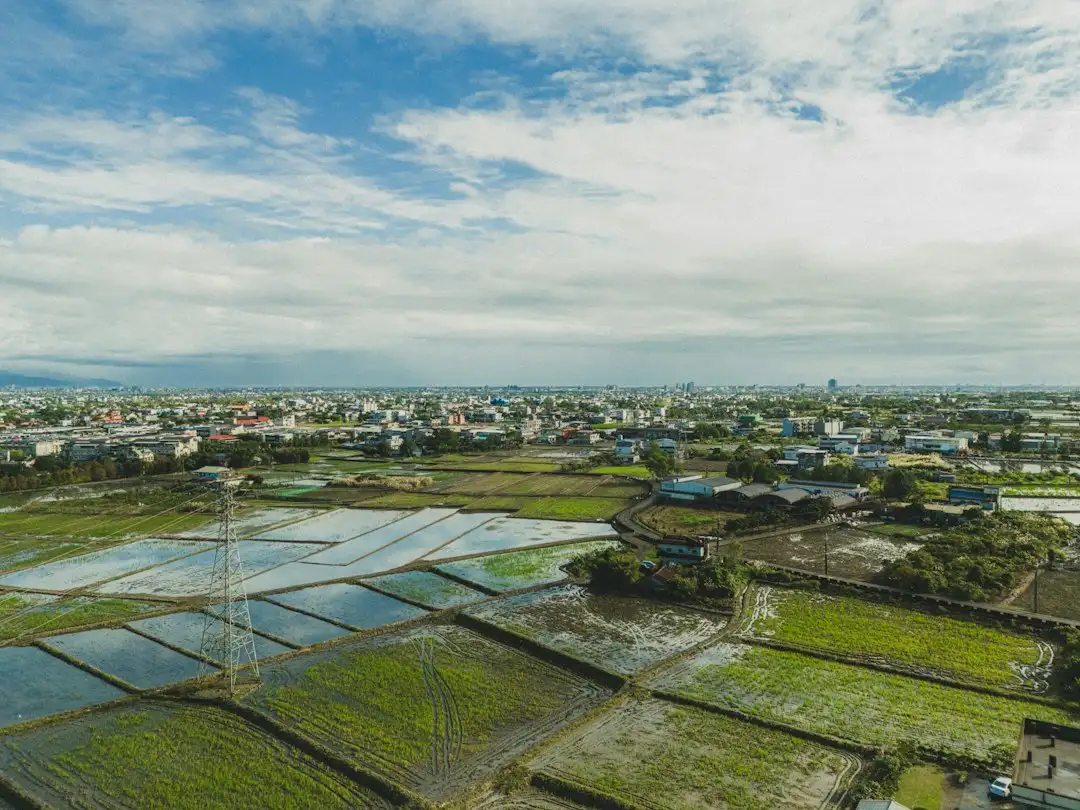2025年酒类批发渠道优化策略与深圳市场趋势分析